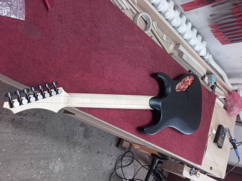 Servis gitár a strunových nástrojov. Servis gitár, basgitár, strunových hudobných nástrojov